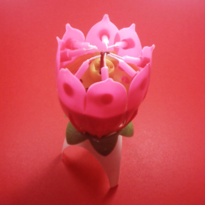 Bougie - Ref 2489064 Image 35