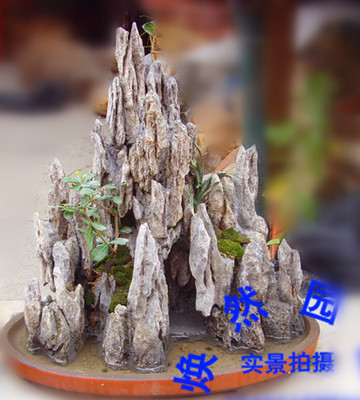 真石风水假山植物盆景石头 鱼缸流水盆景石 阳台假山山水盆景