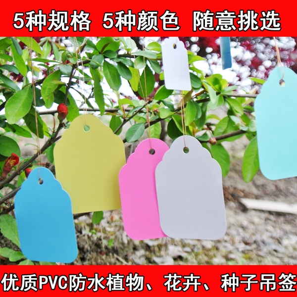 100张pvc防水塑料吊签牌花卉园艺植物盆景树苗标签吊牌小挂牌带绳