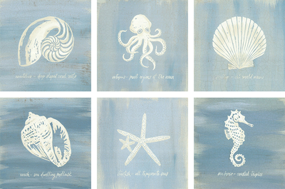 海螺贝壳 海底世界装饰画 无框画 地中海风格 hd0117a