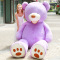 紫色美国巨熊