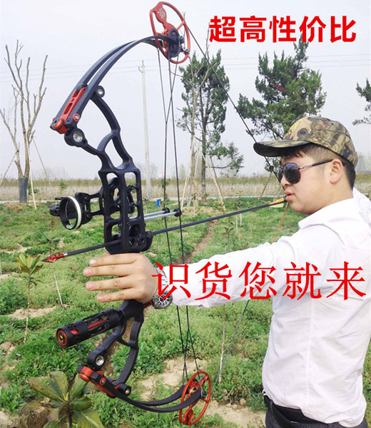 2016新款幽灵复合弓滑轮弓造弓狼射鱼渔猎狩猎专用趾行顺丰包邮