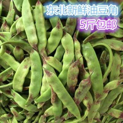 油豆角东北新鲜油豆角一点红九月青晚豆角开锅烂东北新鲜蔬菜