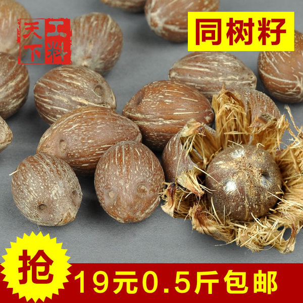 工料天下同树天然招财鼠原籽紫金鼠三眼菩提原料佛珠手链按斤批发