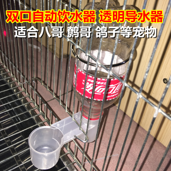 双口喝水导水器 鸡鸟宠鹦鹉八哥鹩哥自动饮水 信肉鸽子笼配件用品