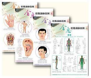 正品 张秀勤全息经络刮痧彩色挂图,全套5张,新版,100%