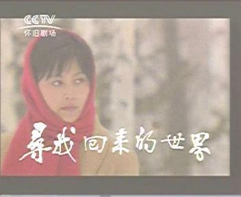 电视剧《寻找回来的世界》12集dvd 主演:许亚军,宋丹丹