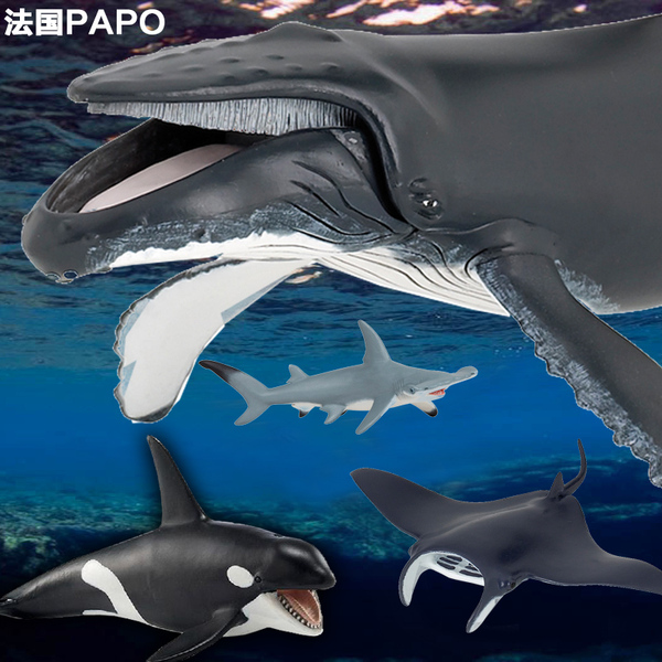 正版法国papo仿真海洋动物模型鲨鱼鲸鱼海豚魔鬼鱼杀人鲸鳄鱼龟