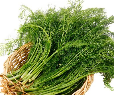 新鲜蔬菜茴香菜 茴香叶 刁草 包饺子馅料 香料 小吃料理 味香可口