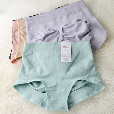 Slip Moyen-âge FIMAGE simple en coton - Ref 644788 Image 11