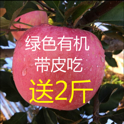 标题优化:老农民烟台苹果水果新鲜山东栖霞红富士apple苹果10斤80#批发包邮