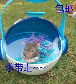 16新款_哈根外接_金丝熊认主人吗_世界上最贵