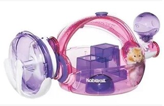 16新款_哈根外接_金丝熊认主人吗_世界上最贵