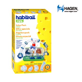 16新款_哈根外接_金丝熊认主人吗_世界上最贵