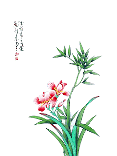 xxiangoo服饰旗舰店