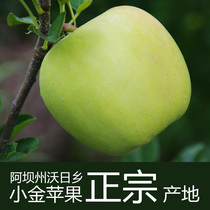 孕妇吃的水果新款_孕妇吃什么水果好\/孕妇吃的