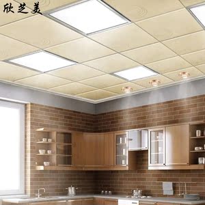 卫生间集成LED吊顶灯人气排行 LED集成吊顶灯照明厨房灯具铝扣板