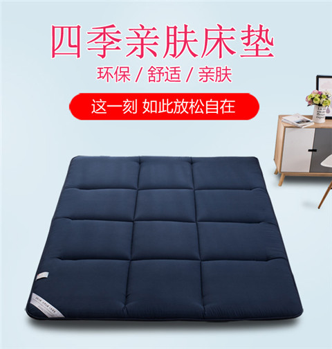 Nệm bọc xẹp đệm lưng ngủ sản phẩm mới dày cơm hè đập sàn trải nệm futon nằm ngủ sàn nệm - Nệm