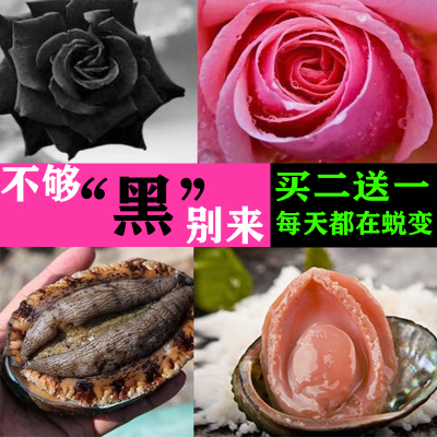 私处美白粉嫩去黑色素沉淀全身淡化乳头乳晕腋下嘴角唇私密嫩红素-淘宝网 私处美白粉嫩去黑色素沉淀全身淡化乳头乳晕腋下嘴角唇私密嫩红素-淘宝网