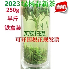 2023 Зеленый Ян Чунь Новый чай до дождя Янчжоу Специальные характеристики сдержать горный зеленый чай Зеленый Ян Чунь чай 250g