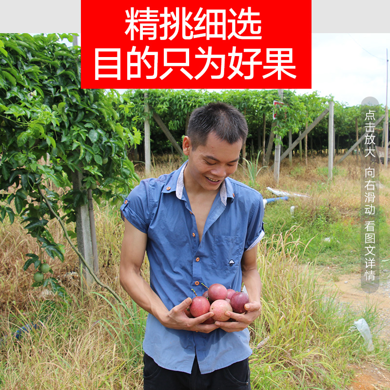 【天天特价】新鲜百香果5斤大果广西现摘现发水果西番莲鸡蛋果