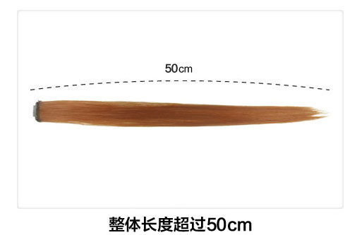 Extension cheveux - Ref 220180 Image 5