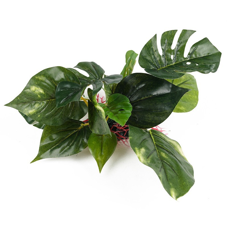 Foreign Trade Simulation Plant Aquatic Plants Simulation Ornaments Fish Tank Landscaping Ornamental Plant Simulation Monstera Deliciosa Water Soluble