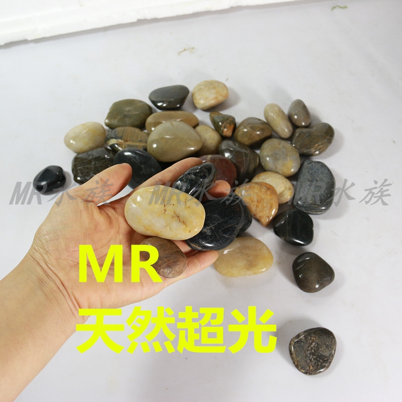 Fish Tank Small Stone Super Polished Small Pebble Riverstones Aquarium Decoration Garden Stone Hydroponic Stone Per Jin