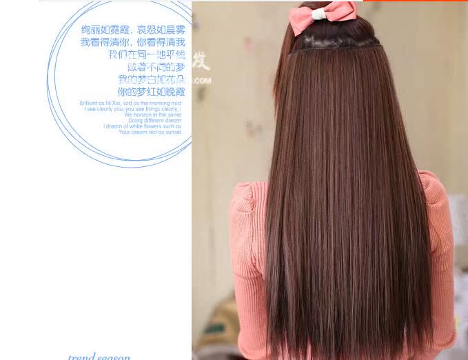 Extension cheveux - Ref 226737 Image 7