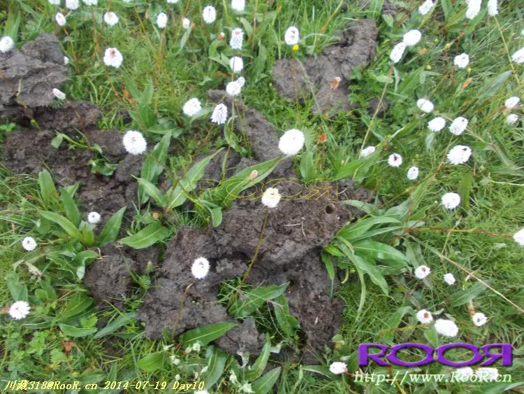 Gants pour vélo - Ref 2247996 Image 262