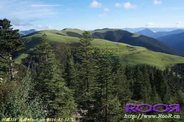 Gants pour vélo - Ref 2247996 Image 145