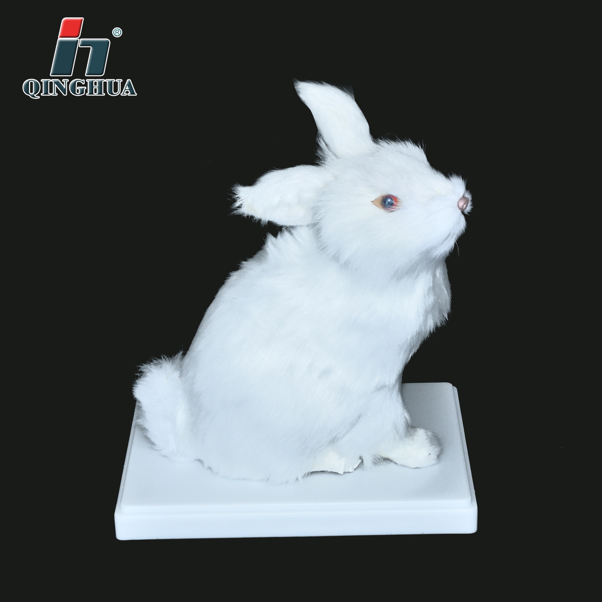 Rabbit Shape Teaching Aids Model Biology Teaching Junior and Senior High School Specimen Animal Ornaments Display