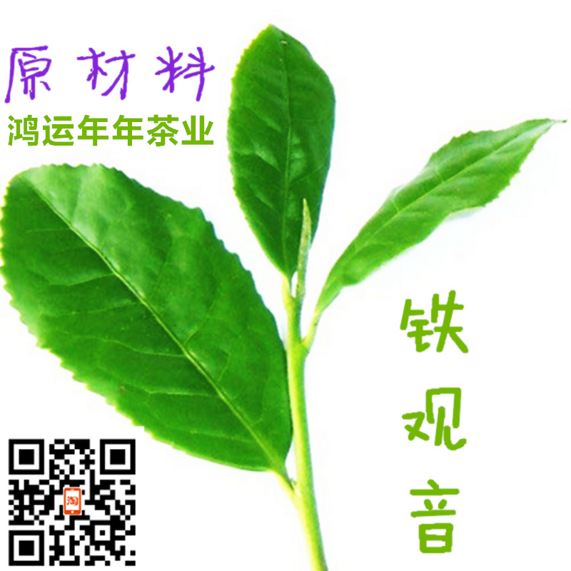 鸿运年年铁观音原材料
