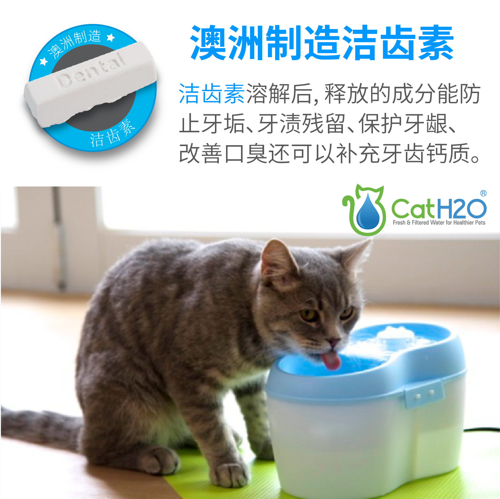 Meow Spring Wang Zhiquan Tooth Cleaning Hormone Tooth Protection Oral Care Cleaning Teeth Tooth Protection Gum Improvement Bad Breath Calcium Supplement