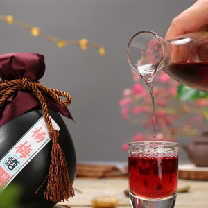 杨梅酒自酿 果酒 低度酒 瓶装 黄氏杨梅酒12度500ml