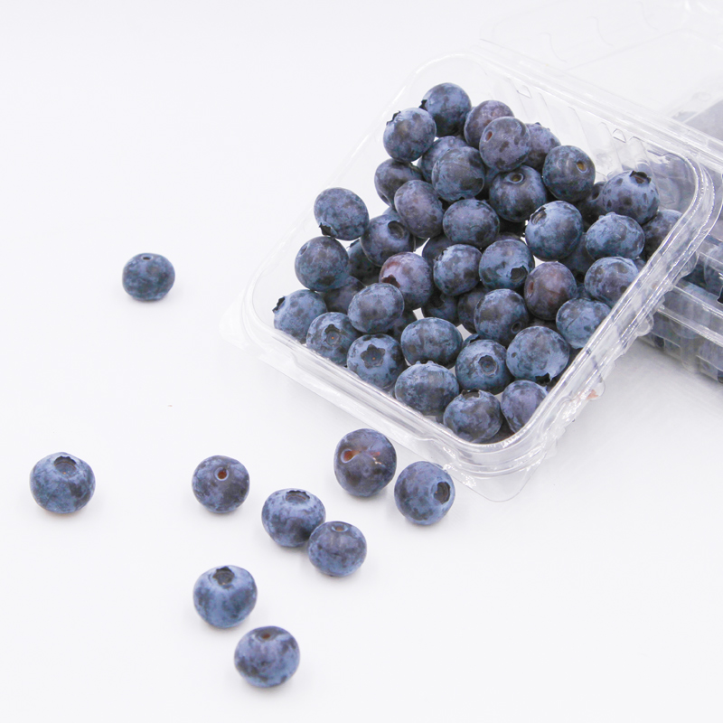 新鲜蓝莓鲜果青岛蓝梅特产水果宝宝辅食4盒6盒顺丰包邮