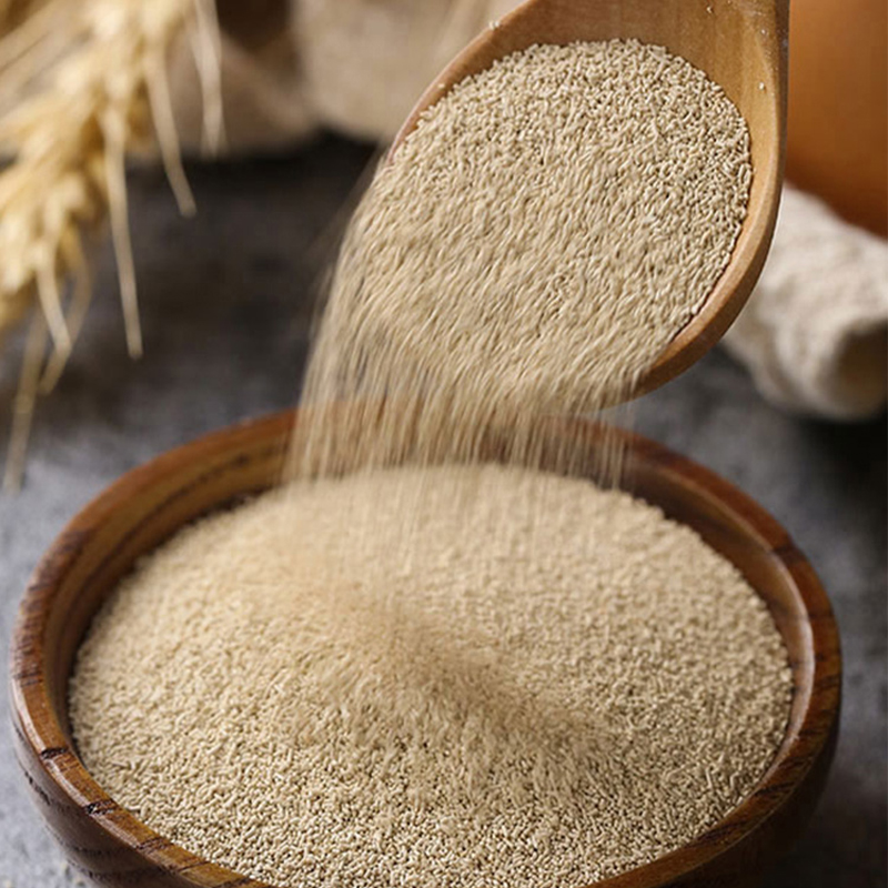 France Lesfors Swallow Brand Gold Gold 500g high-sugar resistant active dry yeast / baking powder package of mail