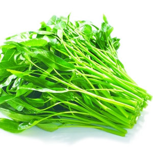 四季蔬菜小白菜香菜空心菜生菜种子阳台花盆菜园盆栽植物套餐包邮