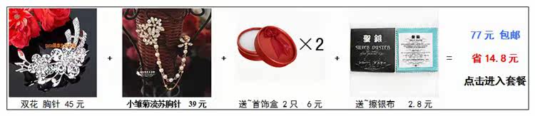 Broche femme en Zircon diamant - Ref 1176165 Image 6