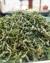 В 2023 году новый чай камелия зеленый чай чай весенний чай 300 кг 250 г ханчжоу