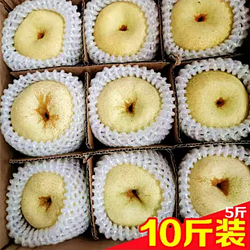 不若水\百年梨树砀山梨子10斤新鲜水果[40元优惠券]-寻折猪
