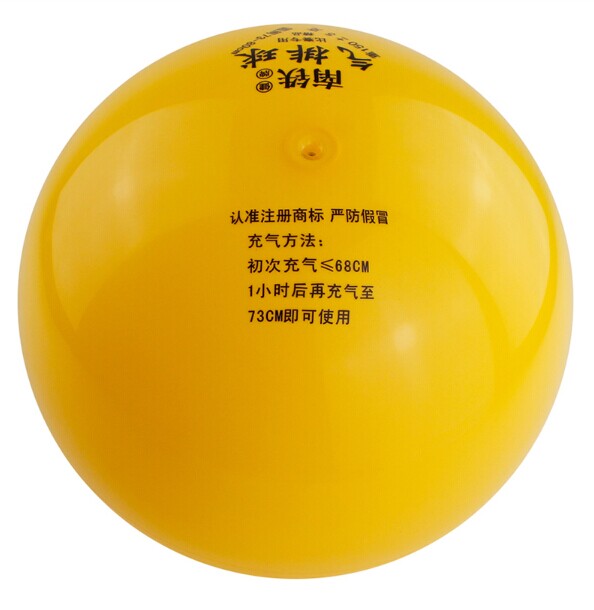 Ballon de volley-ball - Ref 2009941 Image 4
