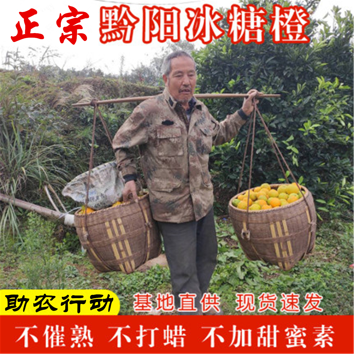 he xiangyou fruit hunan qianyang bingtang orange 10 jin small orange fresh fruit sweet orange small honey orange