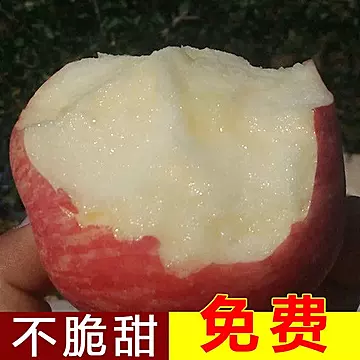 【红富士】新鲜苹果脆甜冰糖心现摘新鲜苹果[30元优惠券]-寻折猪