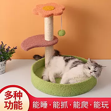 猫窝猫爬架特价猫咪宠物用品逗猫玩具猫抓板[50元优惠券]-寻折猪