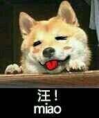 【万能拍】系统关闭，订单异常，退款等订单专拍 多少钱拍多少件-淘宝网