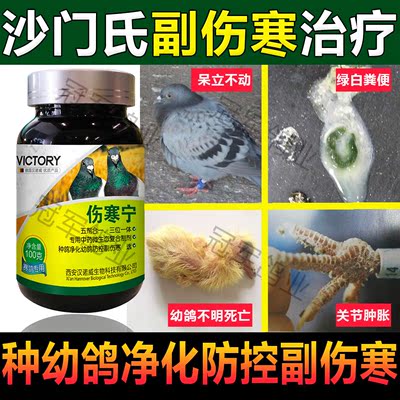 汉诺威鸽药伤寒宁100g赛幼信鸽子药沙门氏种鸽副伤寒大肠杆菌绿便