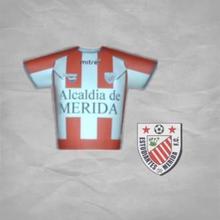 Серия футболок - Merida University / Estudiantes Бумажная модель