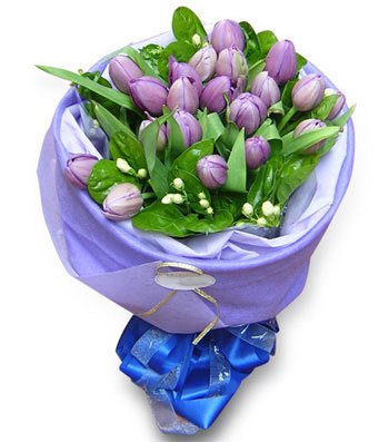 紫色郁金香花束 订花灵宝送花春节送花鲜花速递同城祝福买花