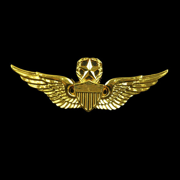 高级飞行章 金色 航空兵 帽徽肩章 us army
